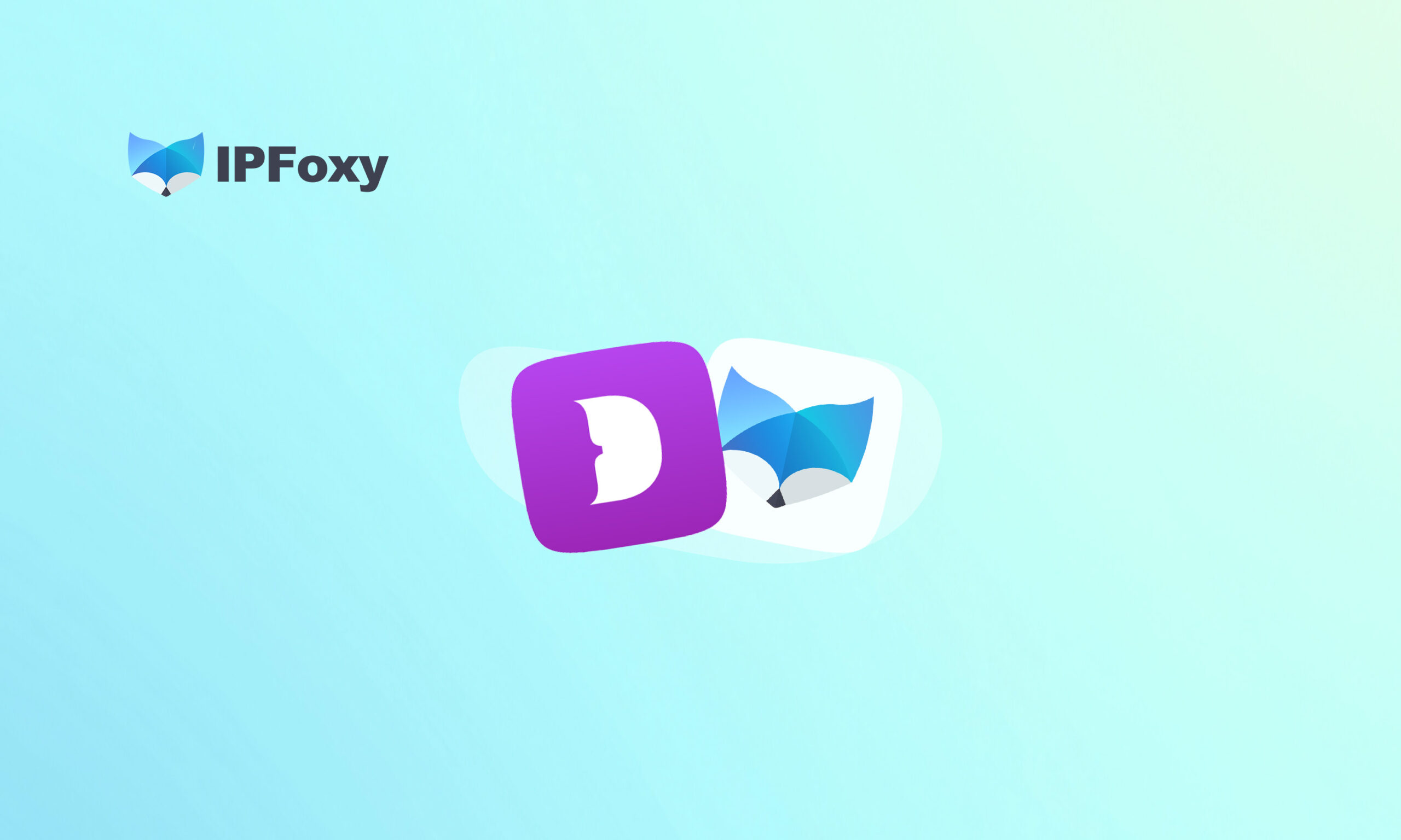 Dolphin Anty Browser：Powerful Combo with IPFoxy for Webmasters & Marketers