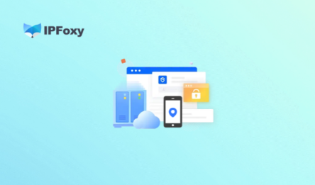 Frequent Account Risk Control? Master IP Purity Check in One Guide!