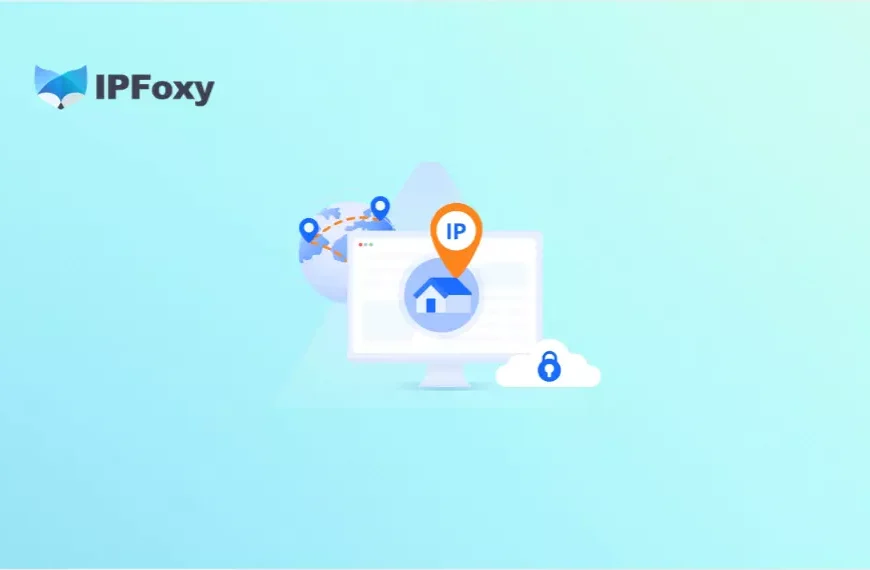 Residential Proxy VS Proxy Chain: Differences, Principles, and Use Cases Explained