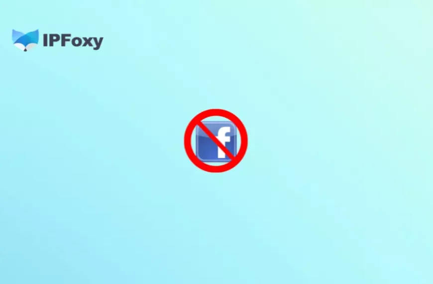Facebook Account Recovery Guide: 4 Types of Bans and How to Appeal Them