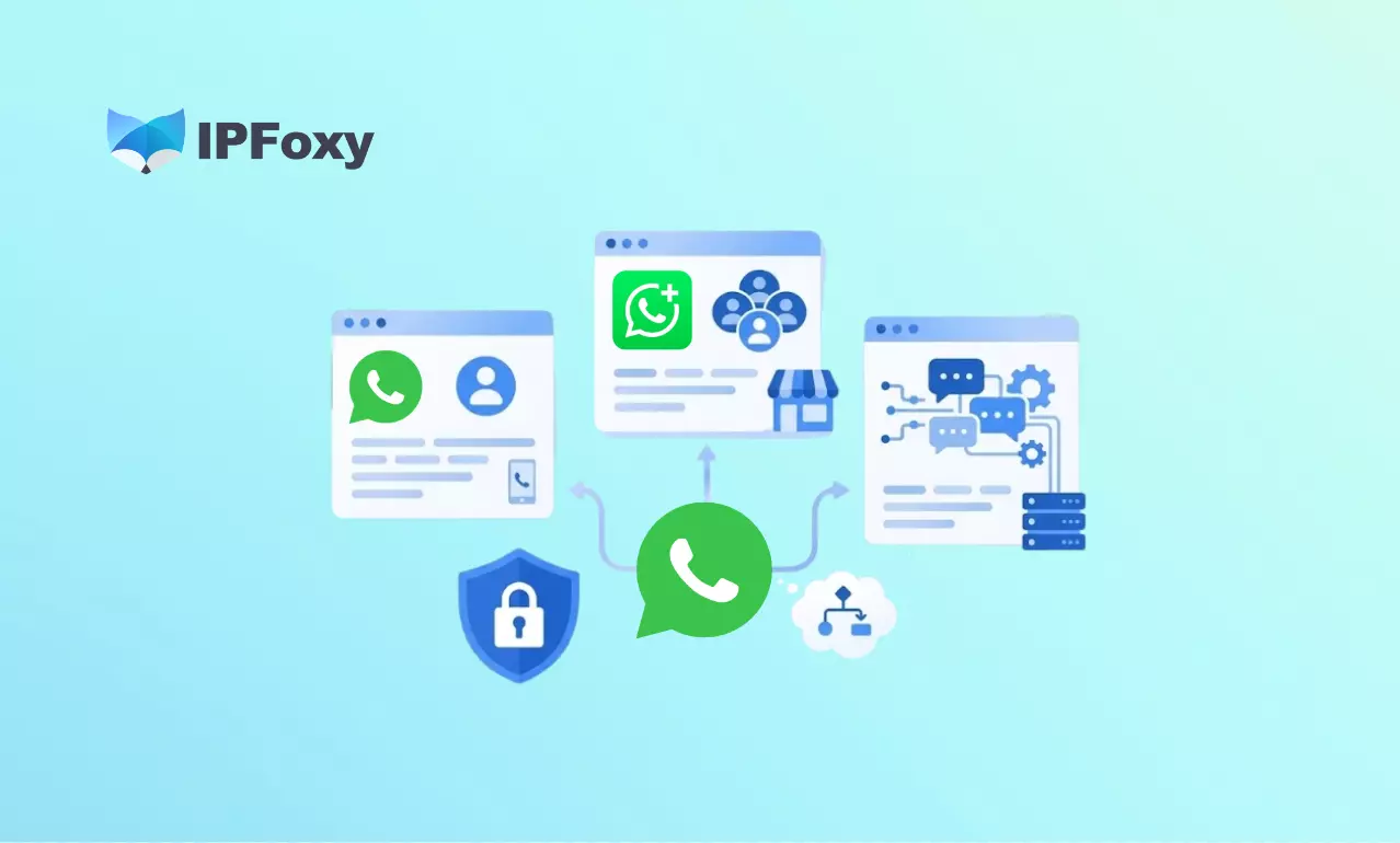 WhatsApp Account Types Comparison: Personal vS. Business App vS. API